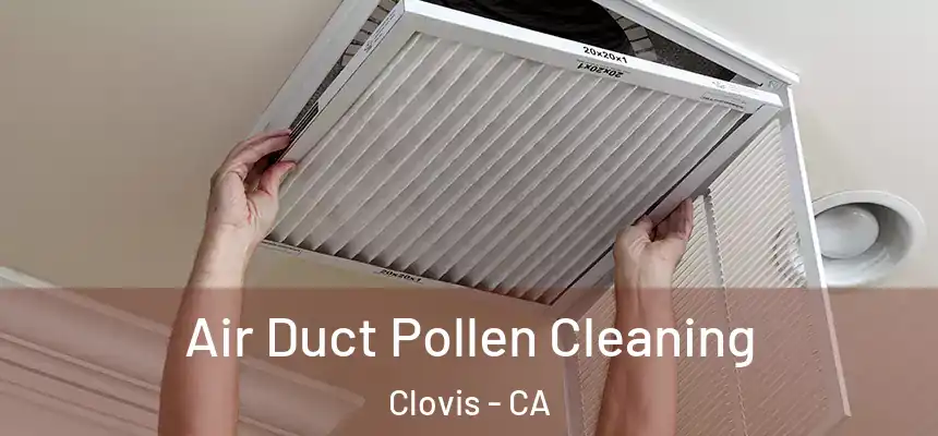  Air Duct Pollen Cleaning Clovis - CA