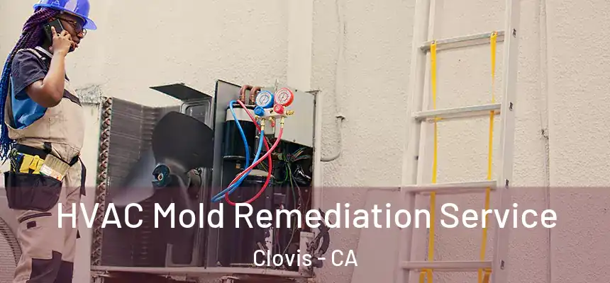  HVAC Mold Remediation Service Clovis - CA