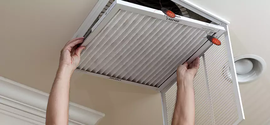 Our Insect Removal from Air Ducts Services in Clovis, CA