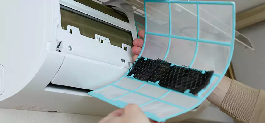 Gentle Ductwork Odor-Control Pet Dander Duct Cleaning in Clovis, CA