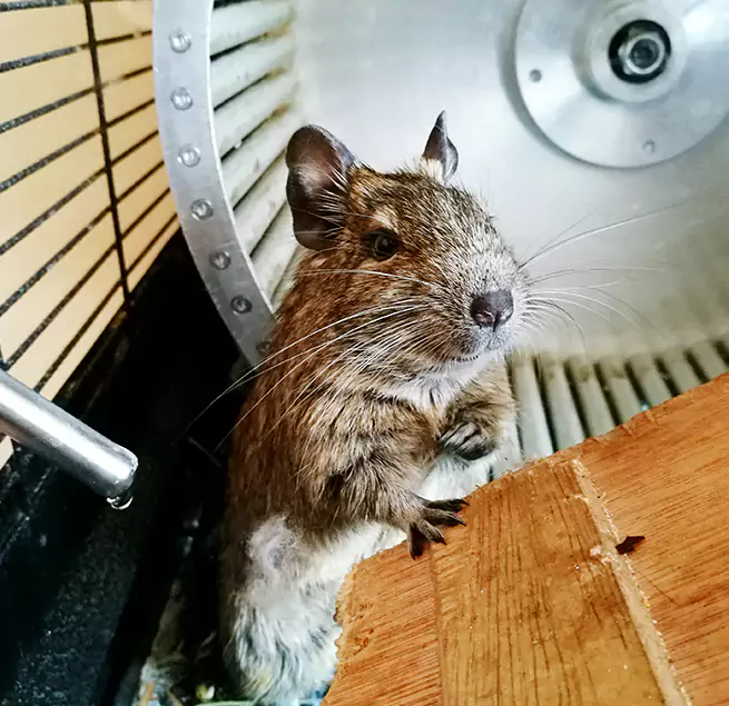 Why Homeowners & Businesses Trust Us Clovis, CA?