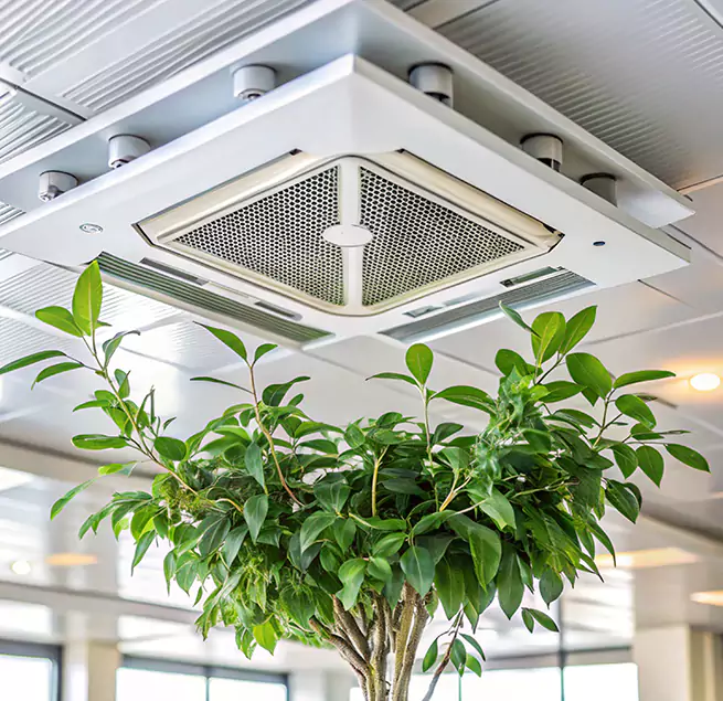 Why Homeowners & Businesses Trust Us in Clovis, CA?