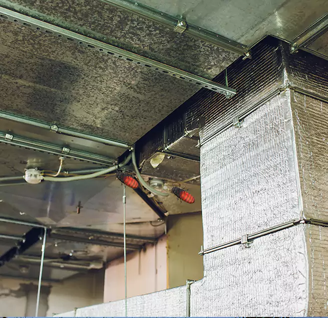 Why Homeowners & Businesses Trust Us Clovis, CA?