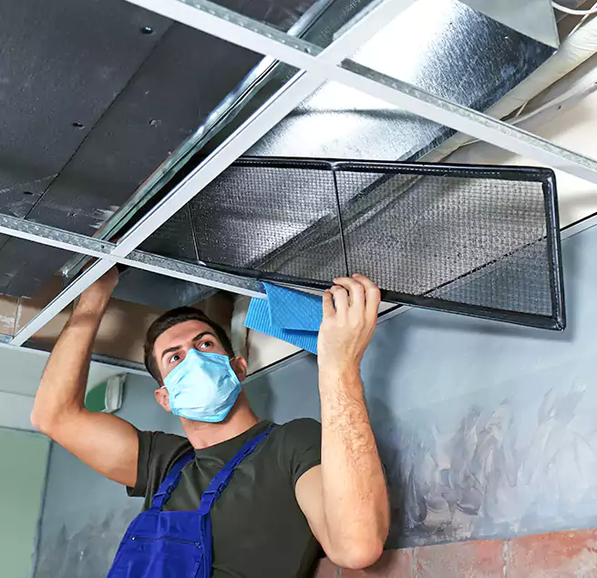 Why Homeowners Businesses Trust Us in Clovis, CA